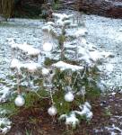 Photo of decorated Christmas tree in garden