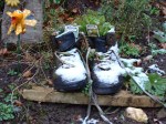 photo f old walking boots planted up