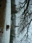 Photo of St James' church winter