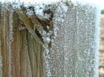 Photo of frost on wooden post 1