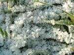 Photo of frost crystals 4