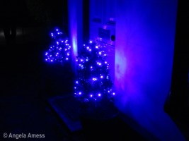 1-img_0068